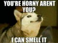 youarehorny.jpg
